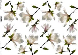 Papier klasyczny A3 magnolia biała 0219