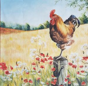 Serwetka Ambiente 1 sztuka Kogut na polu