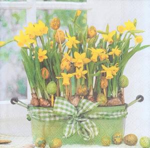 Serwetka Ambiente 1 sztuka Żonkile