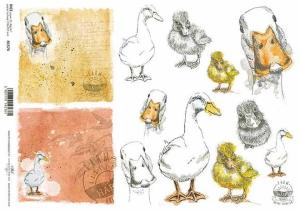 Papier ryżowy A4 R1574 Szczęśliwa farma kaczki gęsi