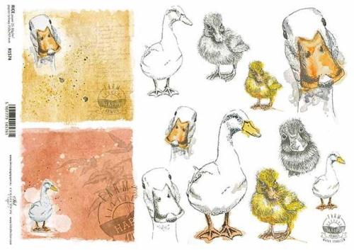 27cec9cac33f9034d8716efbcfe0215b