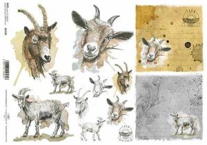 Papier ryżowy A4 R1559 Szczęśliwa farma kozy