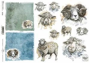 Papier ryżowy A4 R1556 Szczęśliwa farma owce