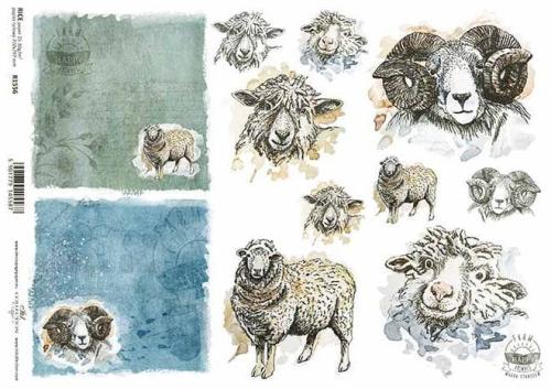 b9ad83044d9fd465d5826e870ac685a5