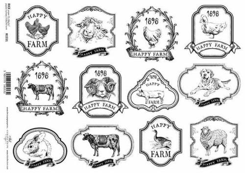 ab3f8e16e7289949026920122d2d4d59