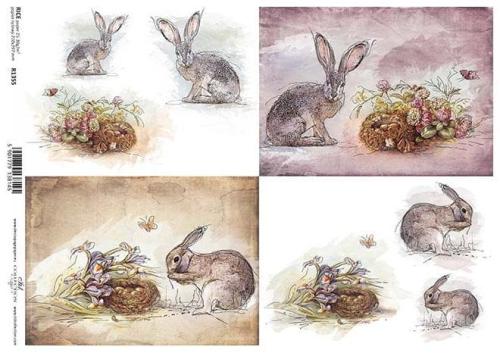 fcd665621e3856b00bf85d8ffdefae65