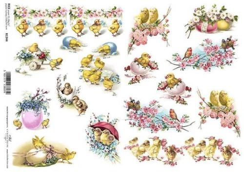 a5e6e143f1e8e5aa646a6dc203d36746