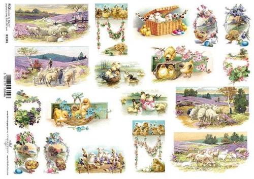 f4599836bce79e878ed4dfe60f0859d9