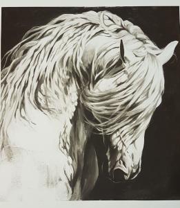 Papier transfer KOŃ czarno-biały