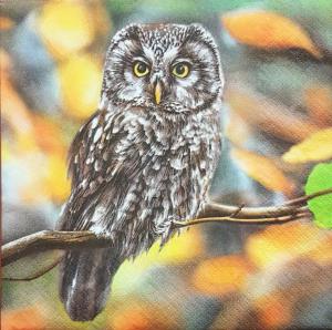 Serwetka Maki 1 sztuka Sowa