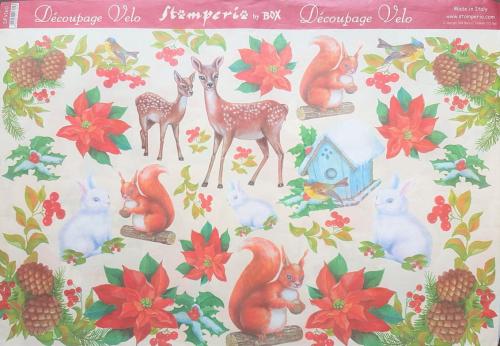 043330b5d4428f2206ccdd1a69304981