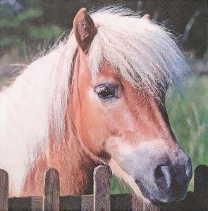 Serwetka STEWO 1 sztuka - Koń
