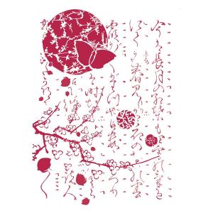 Szablon 21x30cm Motyl księżycowy