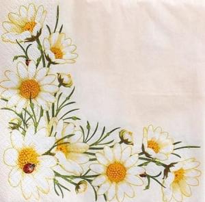 Serwetka TETE 1 sztuka - stokrotki