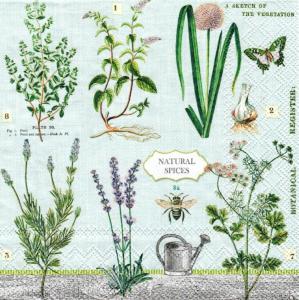 Serwetka Ambiente 33x33 1 sztuka - zioła