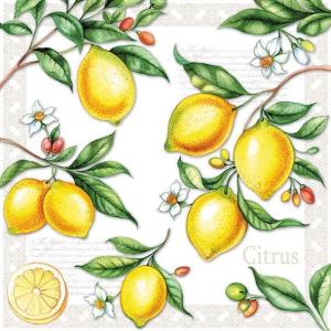 Serwetka Ambiente 33x33 1 sztuka - Citrus