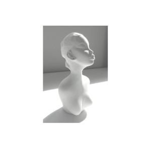 Zora główka i popiersie wykonana z gipsu 62x60x115 mm.