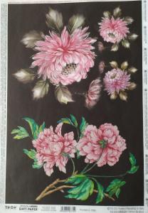 Papier soft 25x35cm rapsodia 505
