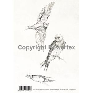 Wydruk laserowy A4 - swallows