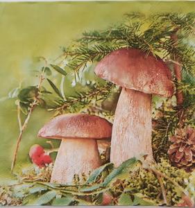 Serwetka Maki 1 sztuka Grzybki