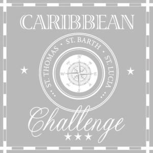 Serwetka Ambiente 1 sztuka Caribbean Challenge Grey