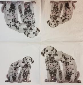 Serwetka PapierDesign 1 sztuka 33x33cm Dalmatiens