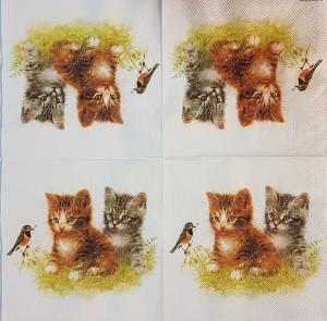 Serwetka Ambiente1 sztuka Coctail Kociaki z ptaszkiem