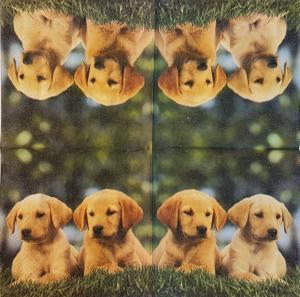 Serwetka Nouveau 1 sztuka 33x33 Szczeniaki w trawie