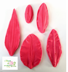 Zestaw moldów do foamiranu "Lilia"