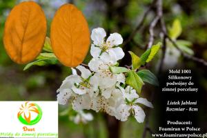 Mold silikonowy podwójny "Duet" 1001 Listek Jabłoni