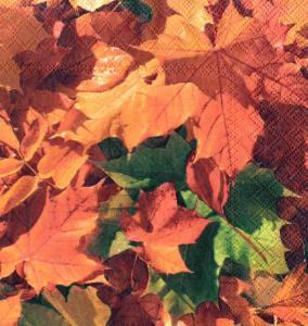 Serwetka STEWO 1 sztuka - Liście Jesienne