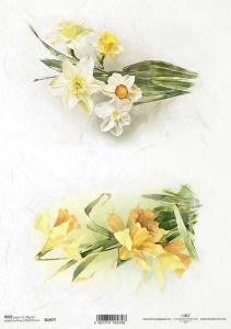 Papier ryżowy A4 R1977 narcyz