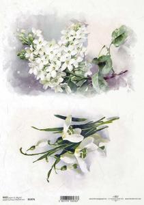 Papier ryżowy A4 R1974 bez biały przebiśnieg