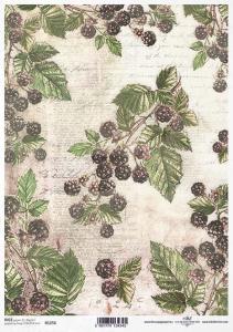 Papier ryżowy A4 R1256 jeżyna listy