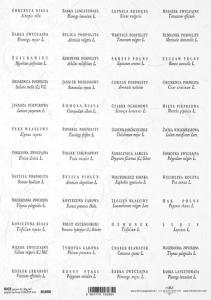 Papier ryżowy A4 R1888 rośliny / napisy