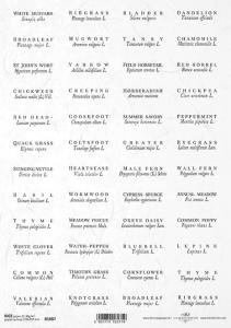 Papier ryżowy A4 R1887 rośliny / napisy