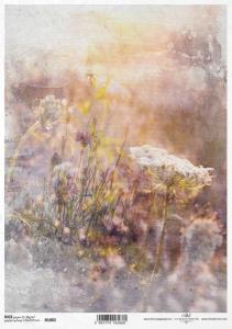 Papier ryżowy A4 R1882 trawy / kwiaty polne