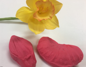 Zestaw moldów do foamiranu NARCYZ / ŻONKIL płaski