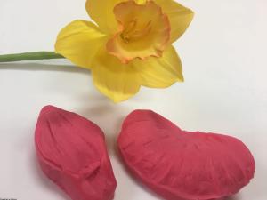 Mold do faomiranu narcyz żonkil płatek x 2