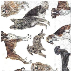 Serwetka IHR 33x33 1 sztuka - Psy