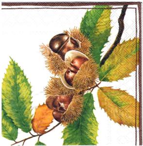 Serwetka Ambiente 33x33 1 sztuka - Kasztany