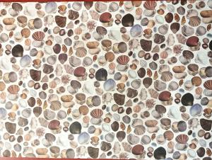 Papier klasyczny 50x70cm muszelki