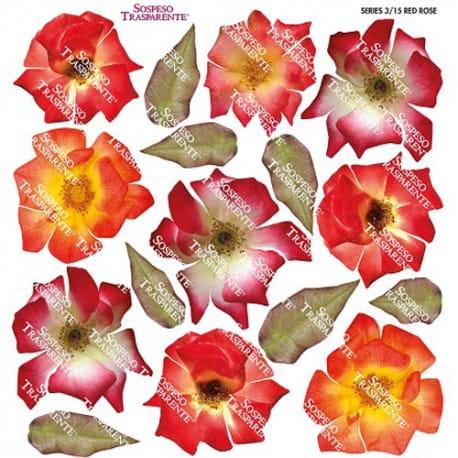 SOSPESO FOLIA NADRUKOWANA RED ROSE.jpg