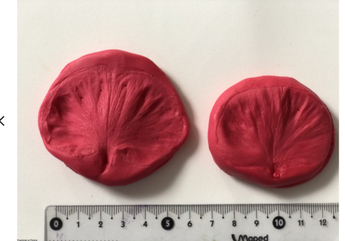 Screenshot 2024-04-02 at 12-58-34 Zestaw moldow „ Bratki „.png