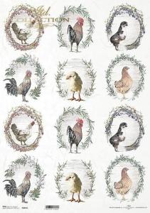 Papier ryżowy A3 R0895L Zwierzęta w wianuszku KURY WN