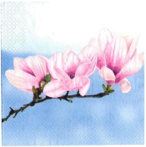 Serwetka magnolia na niebieskim tle