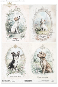 Papier ryżowy A4 R2566 Pieski w ramce