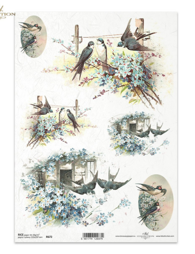 Papier ryżowy decoupage R672 - ptaki.png