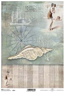 Papier ryżowy A4 R945 muszla