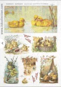 Papier ryżowy A4 R302 kurczaczki